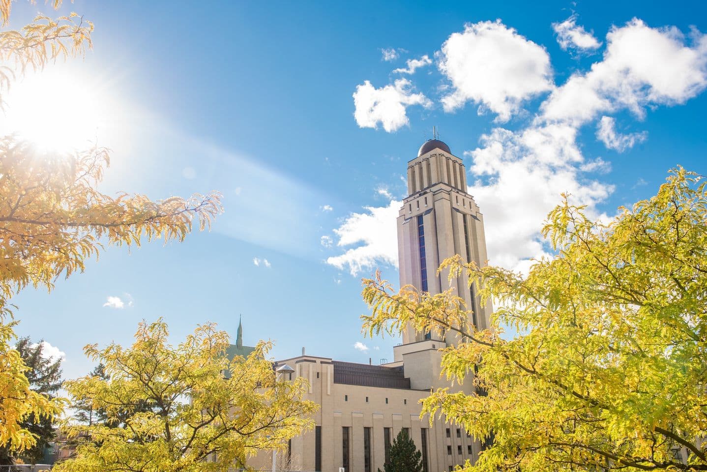 Université de Montréal